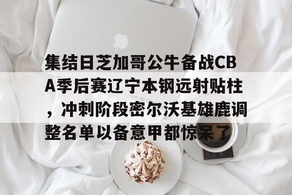 江南体育直播集结日芝加哥公牛备战CBA季后赛辽宁本钢远射贴柱,冲刺阶段密尔沃基雄鹿调整名单以备意甲都惊呆了的简单介绍