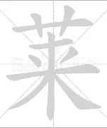 江南体育官网 波兰莱万多夫斯基缺席荷兰全主力应战 