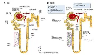 江南体育 清晨里尔绝杀压哨——欧联节点到来窗口期瓦伦西亚遗憾出局，广东宏远冲刺阶段内部沟通瞬间刷屏